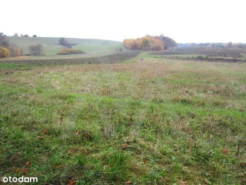 Działka przemysłowa - Szemud - 2834m2 - Pełny obrazek: 5/6