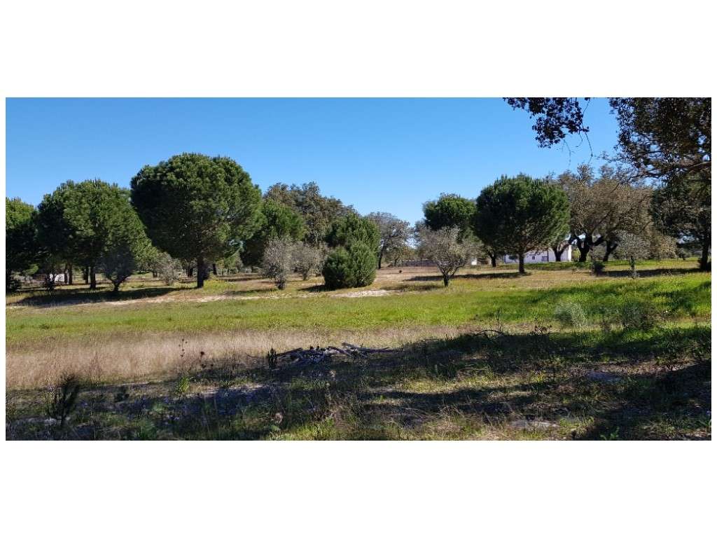TERRENO (2,38ha) a 30 Km das Praias. - Grande imagem: 4/11