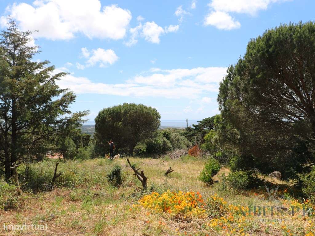 À VENDA: Lote com vista mar em Malveira da Serra - localização elev...-12