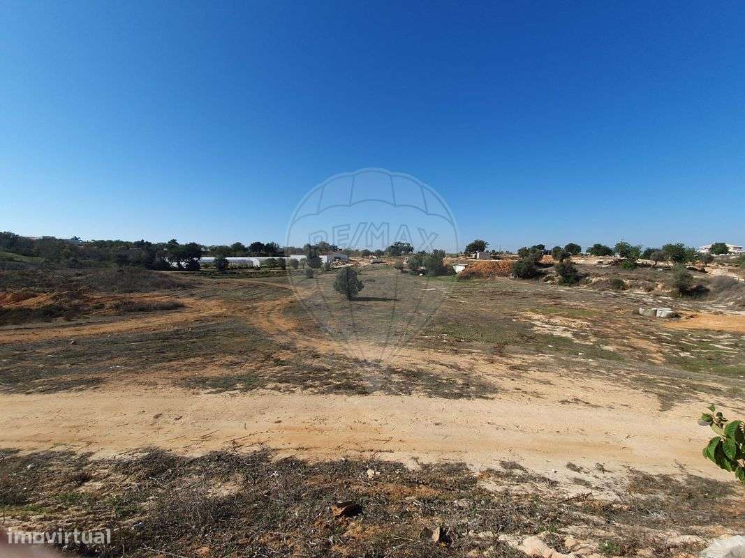 Quinta  para venda-13