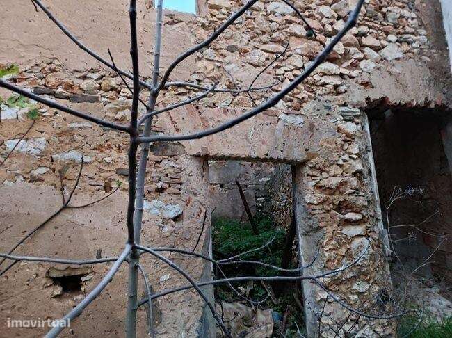 Moradia para reconstrução, com espaço exterior - Barão de São Miguel - Grande imagem: 5/6