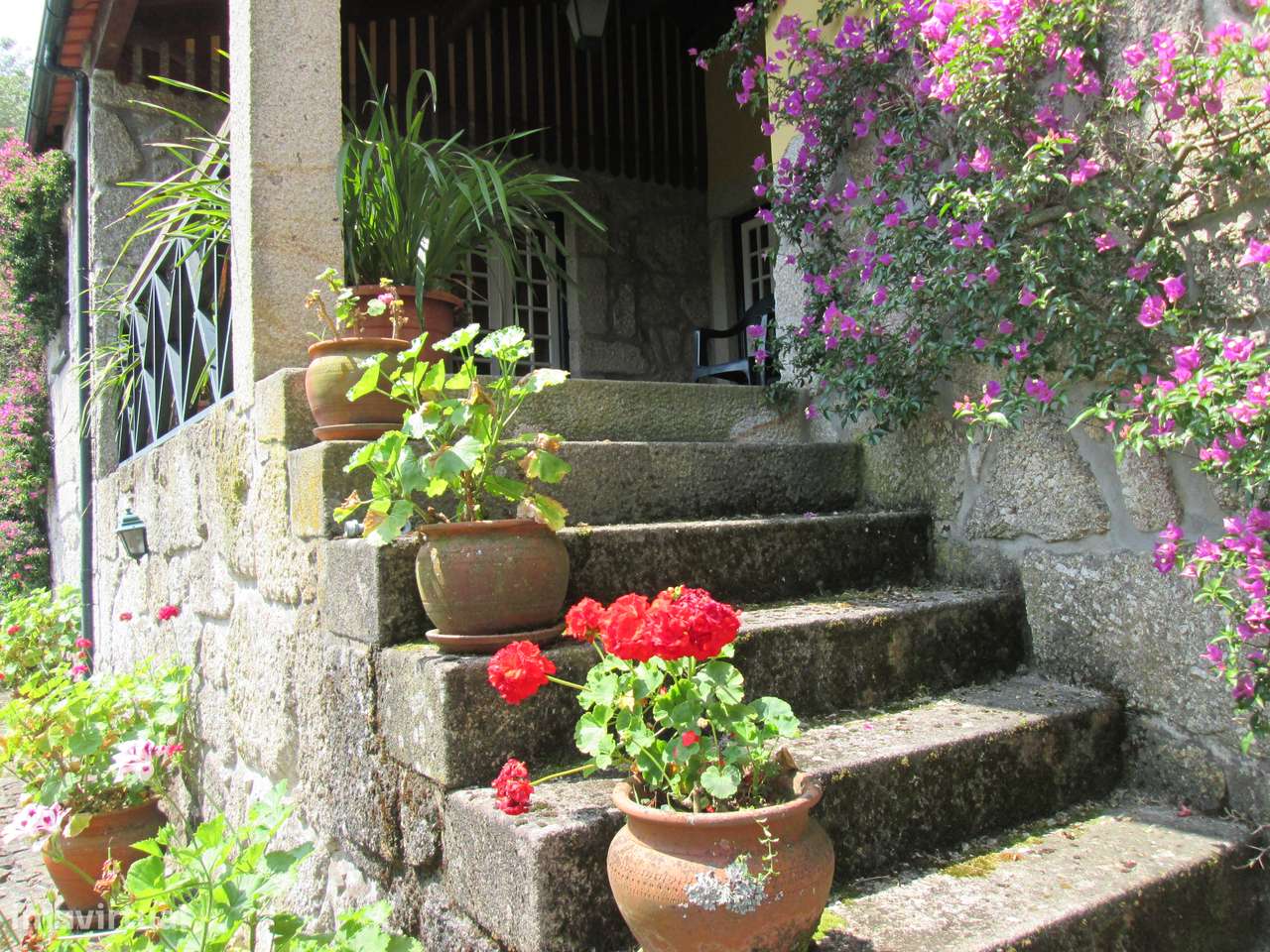 Quintinha no Minho Ponte de Lima * 10.000 m2 * a 90 Km do Porto-8