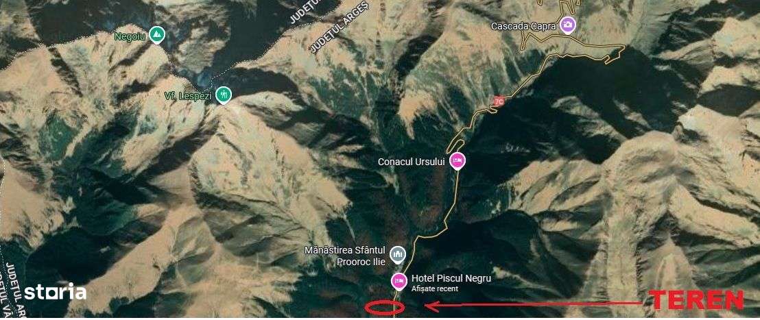 TEREN EXTRAVILAN PADURE PISCUL NEGRU ARGES-8