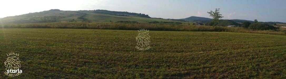 Teren 5500 mp-oportunitate investitie-pretabil cabana-Jelna - Imagine principală: 1/5