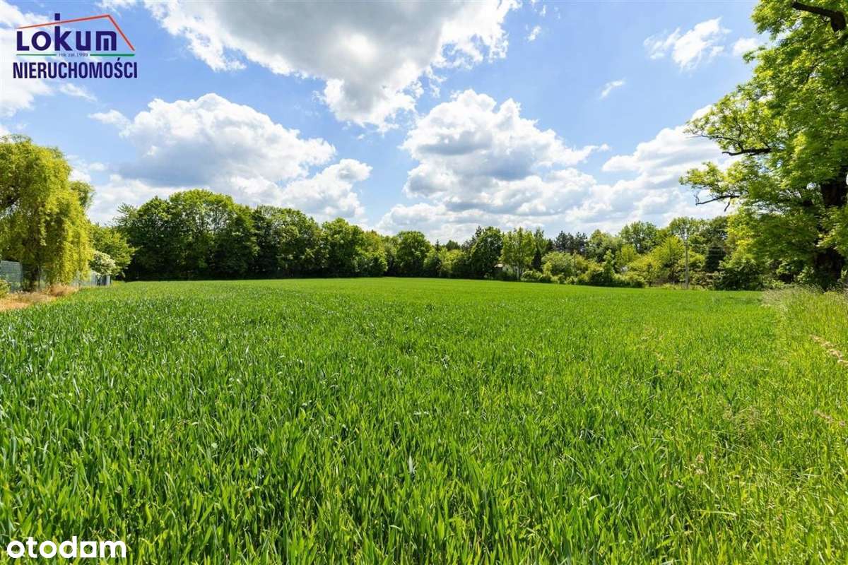 Działka pod dom lub usługi, blisko Skoczowa - Pełny obrazek: 5/16