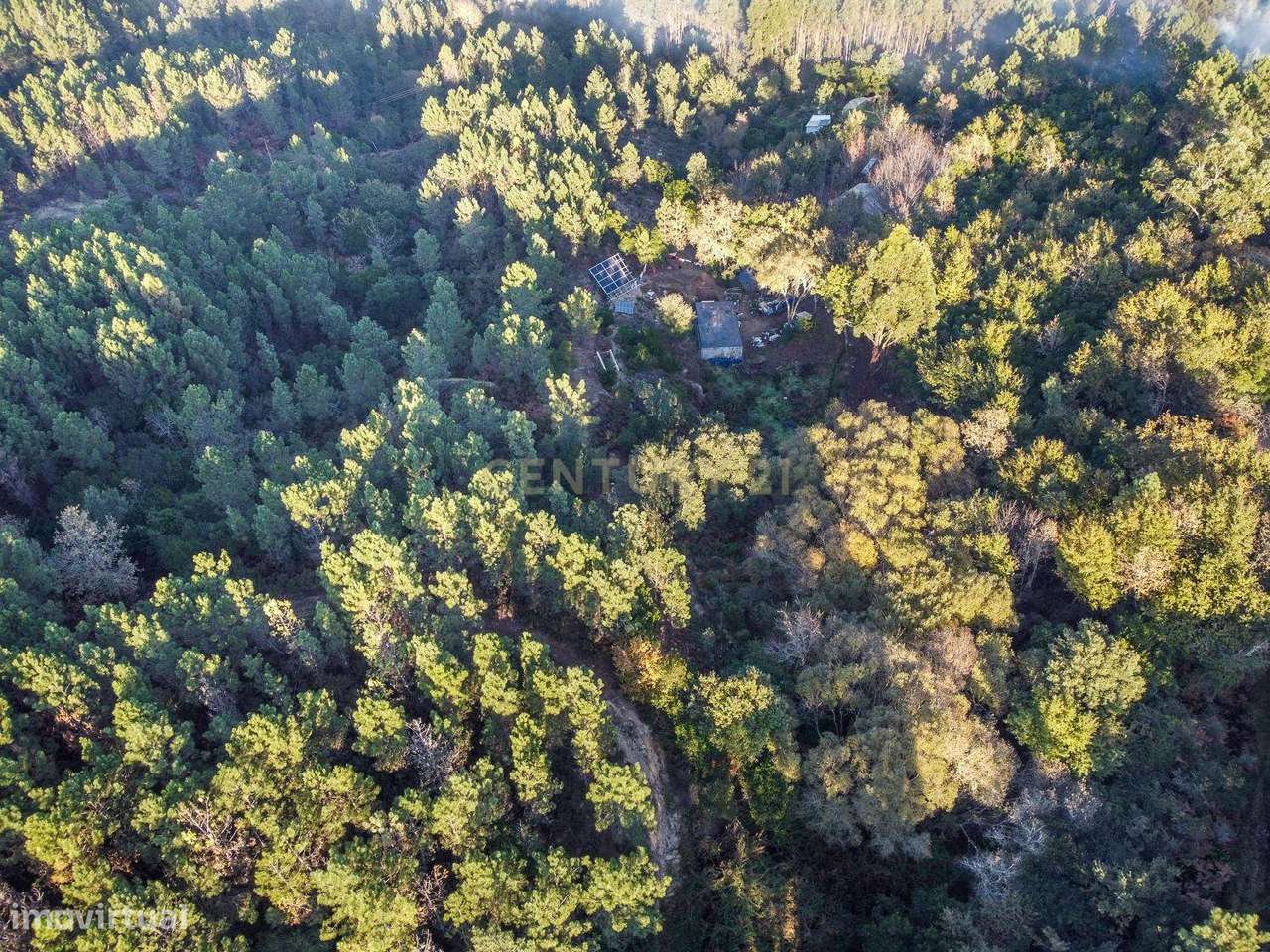 Viver de uma forma Ecológica em Terreno Panorâmico em Calde, Viseu-21
