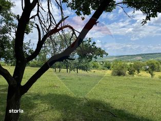Teren Intravilan de Vanzare in Somcuta Mare - Imagine principală: 4/10