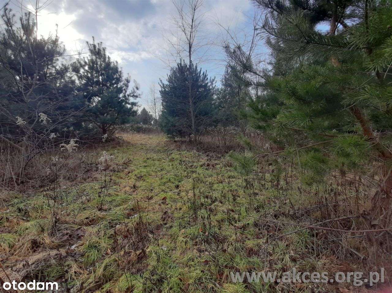 Warszawa, Ursynów, Działka Ul. Kapeli - Pełny obrazek: 2/12