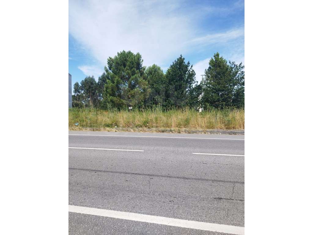 Terreno para Construção - Gandra, Valença-5