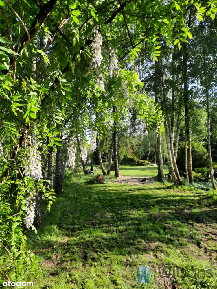 Wyjątkowa posiadłość w Józefinie! 1,8 ha. - Pełny obrazek: 5/11