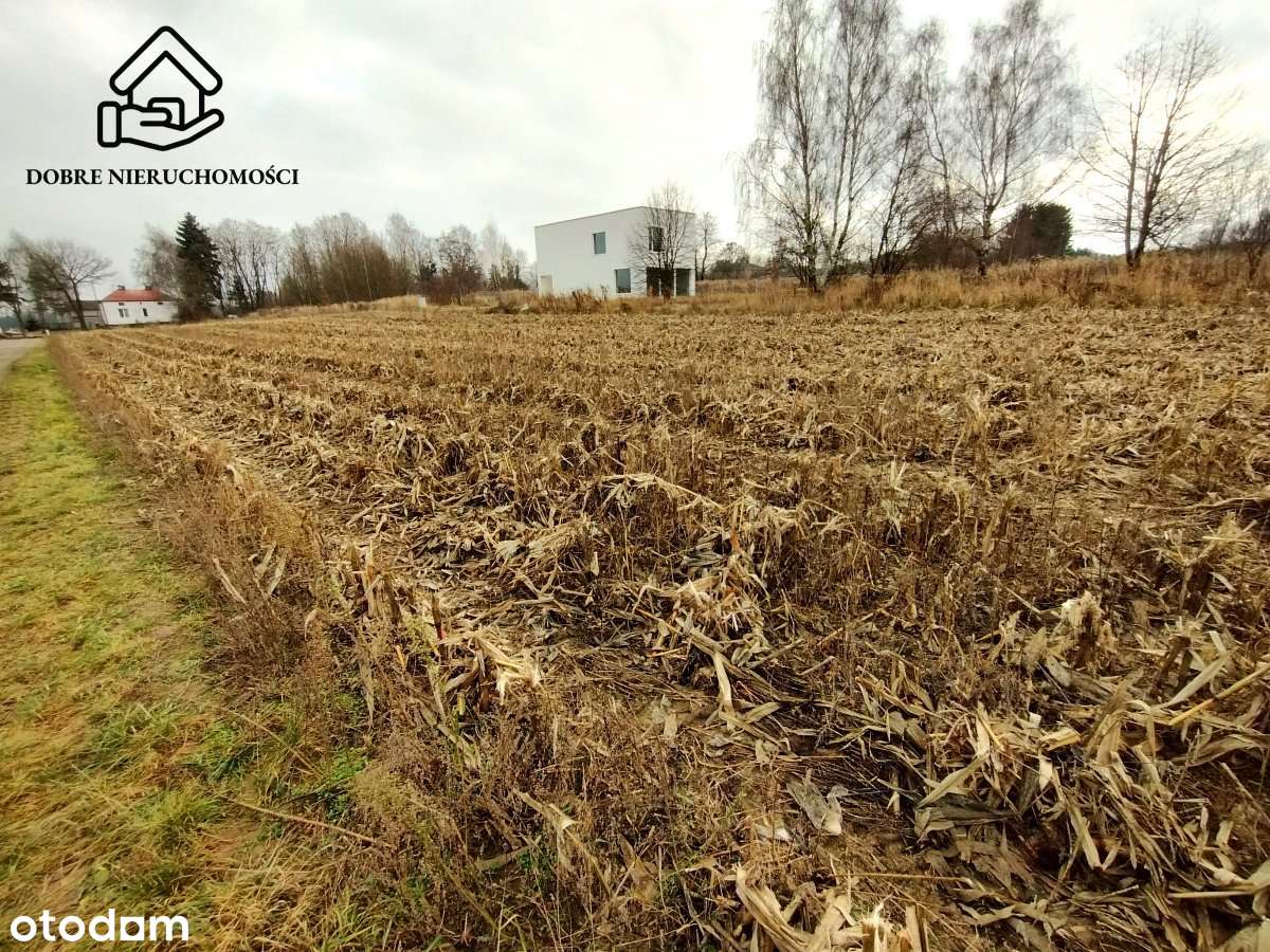 Dz. pod Lublinem w cichej okolicy Płouszowice Kol.-1