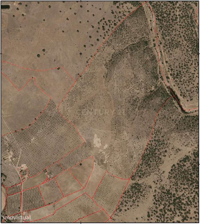 Herdade em Fronteira - Portalegre - Grande imagem: 4/5