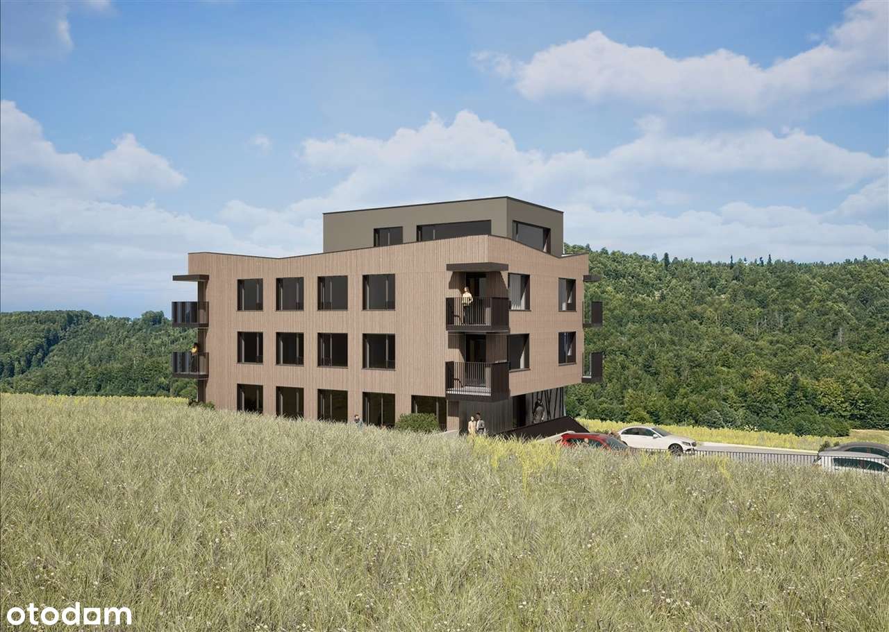 TOP Lokalizacja - Przy Stoku SKI IN SKI OUT-3