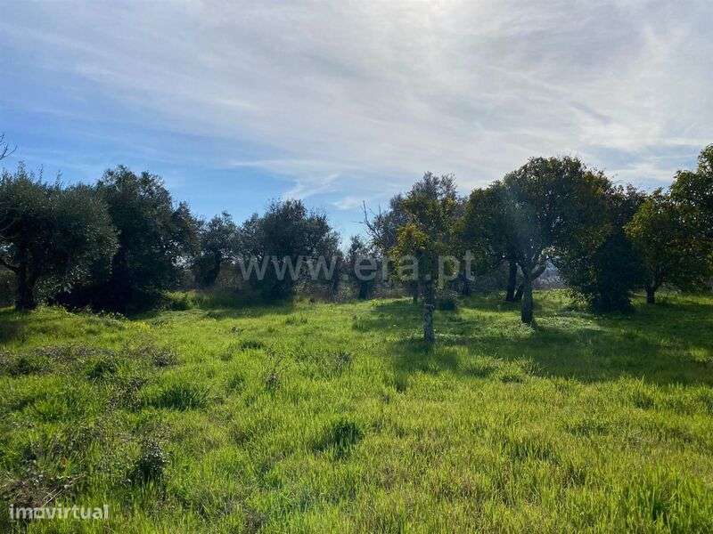 Quintinha / Fundão, Monte Leal - Grande imagem: 4/13