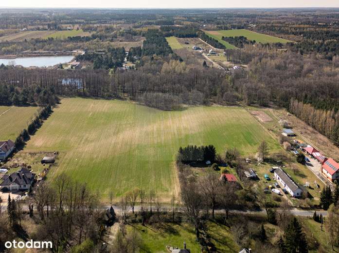 448766 - Pełny obrazek: 5/20