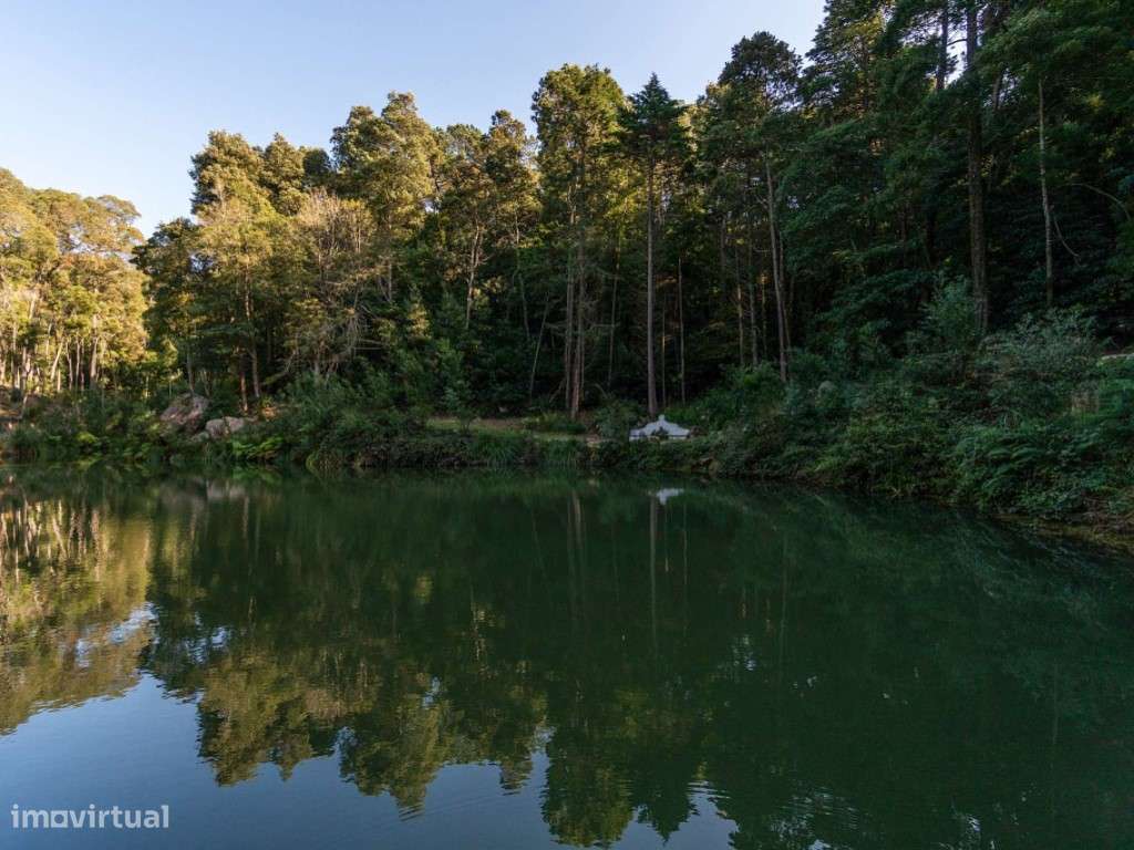 Quinta T9 com vista de mar na serra de Sintra - Grande imagem: 4/22