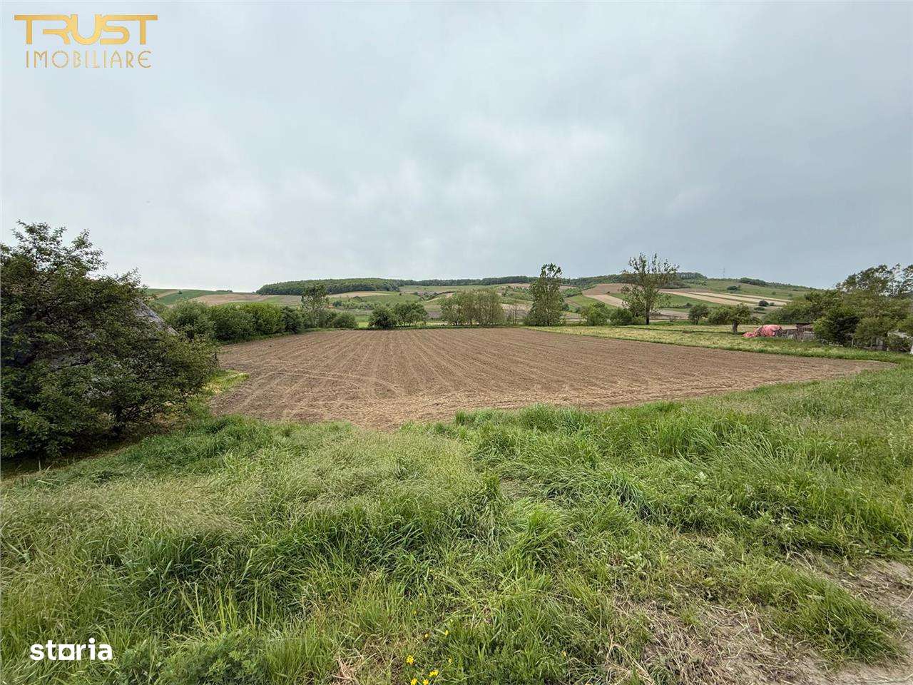 Teren intravilan de vanzare l 7500 MP l Aschileu Mare - Imagine principală: 2/8