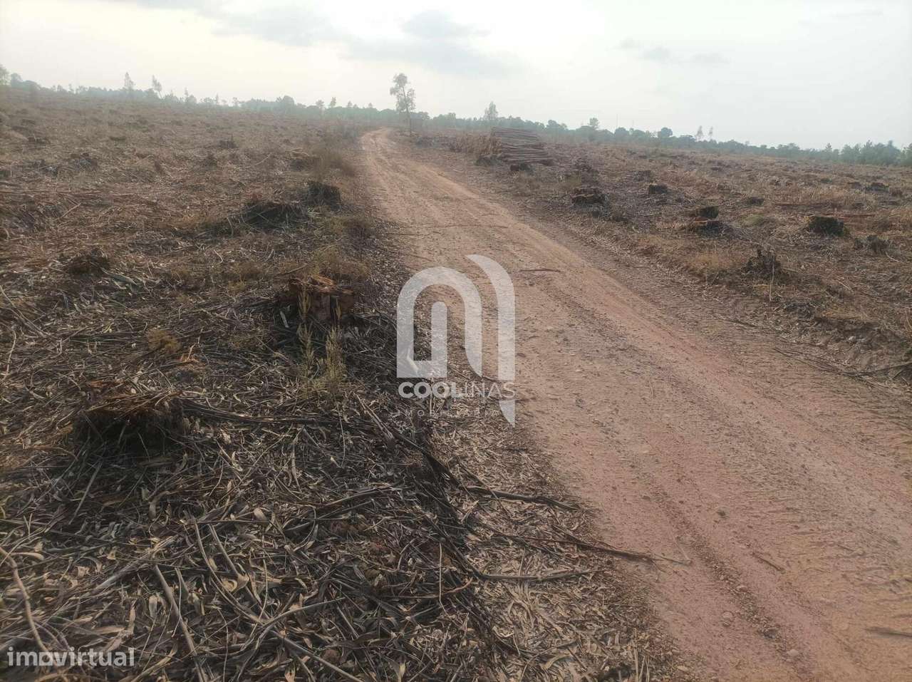 Terreno c/ diversas viabilidades de exploração - Grande imagem: 5/22