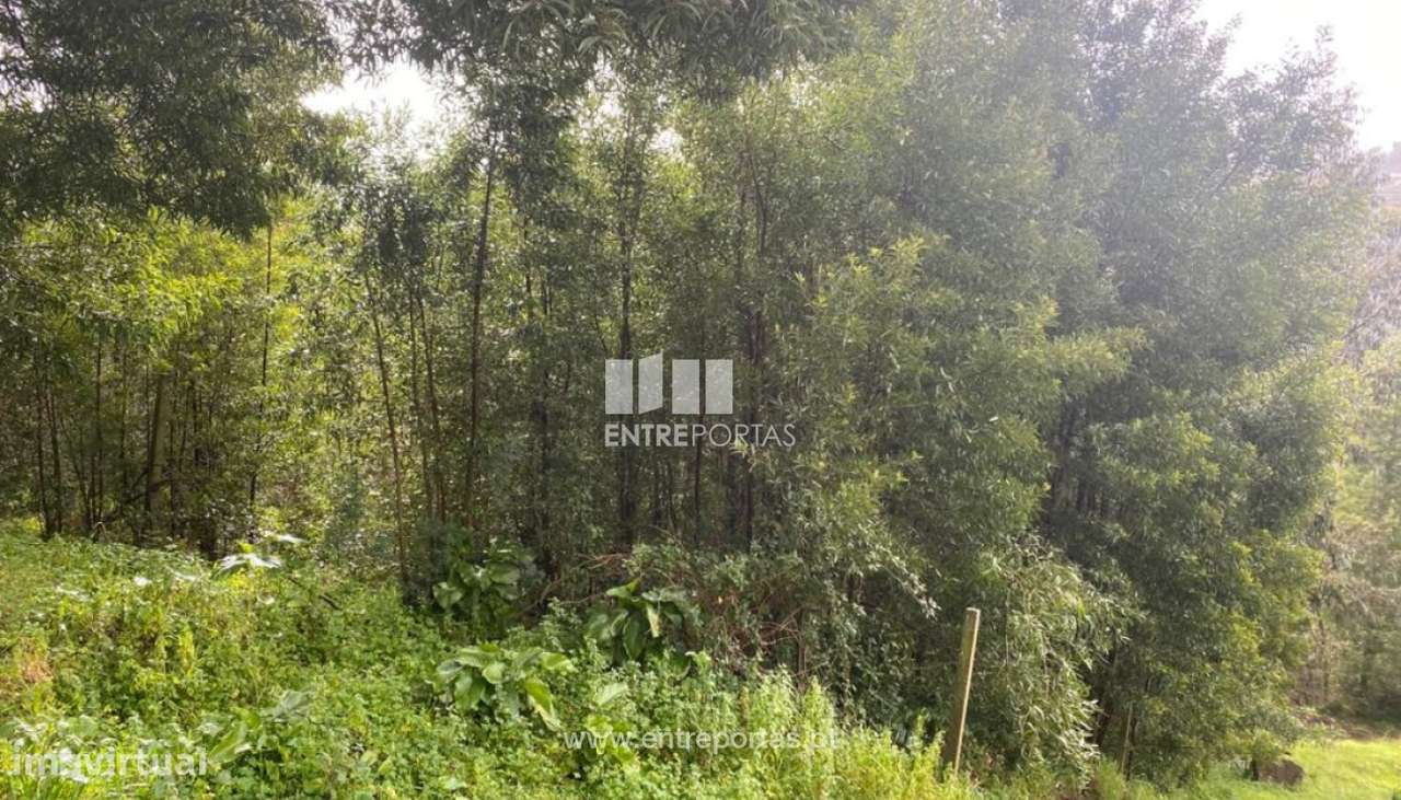 Venda Terreno, São Lourenço do Douro, Marco de Canaveses - Grande imagem: 5/29