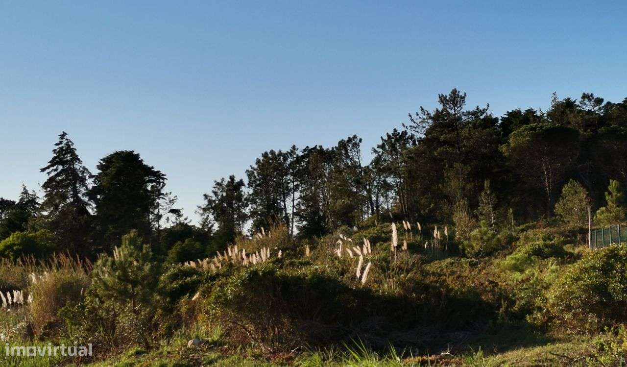 Terreno destinado a Indústria / Armazém - Alto de Brenha - Grande imagem: 3/18