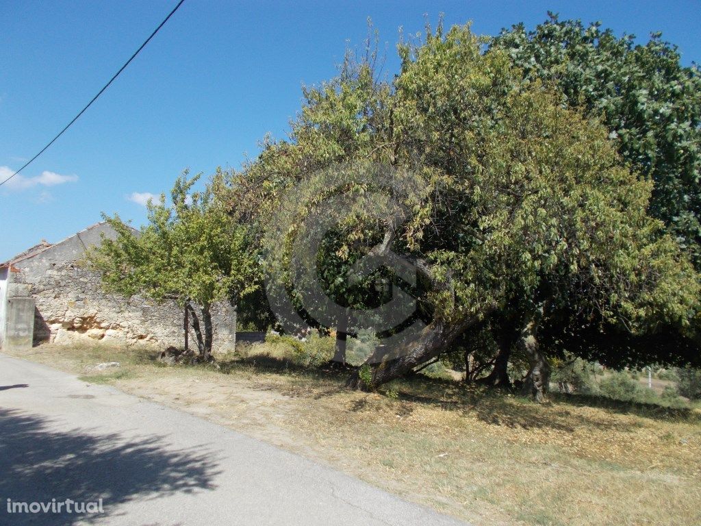 Terreno na aldeia de Cardais, a 5 minutos de Torres Novas.