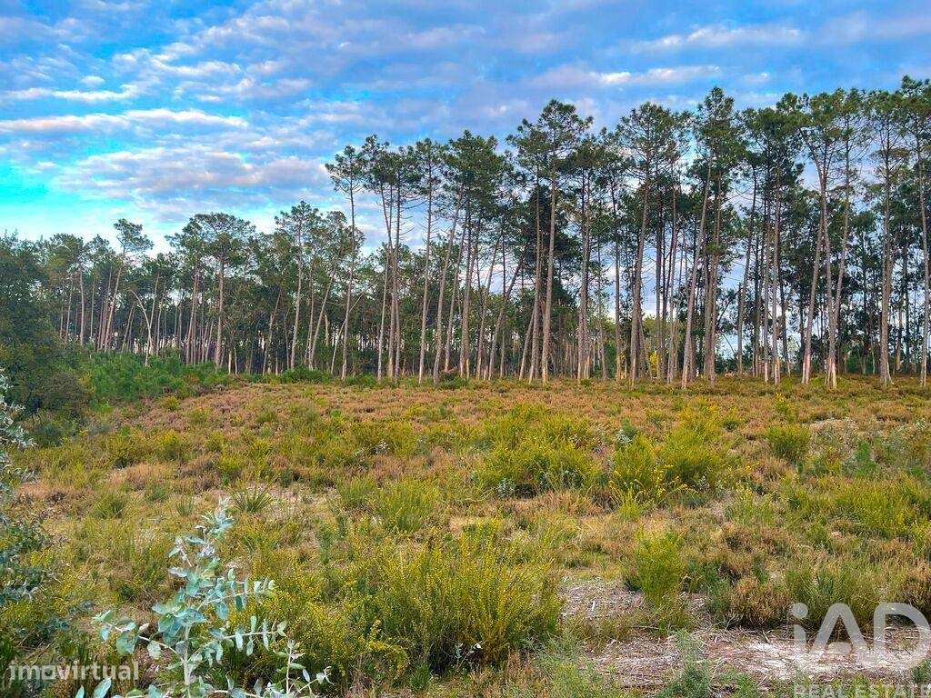 Terreno para construção em Monte Redondo e Carreira de 1260,00 m2 - Grande imagem: 4/8