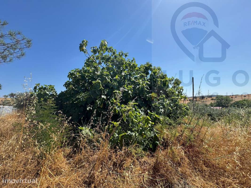 Quinta com 3000m² em Nossa Senhora de Machede-20