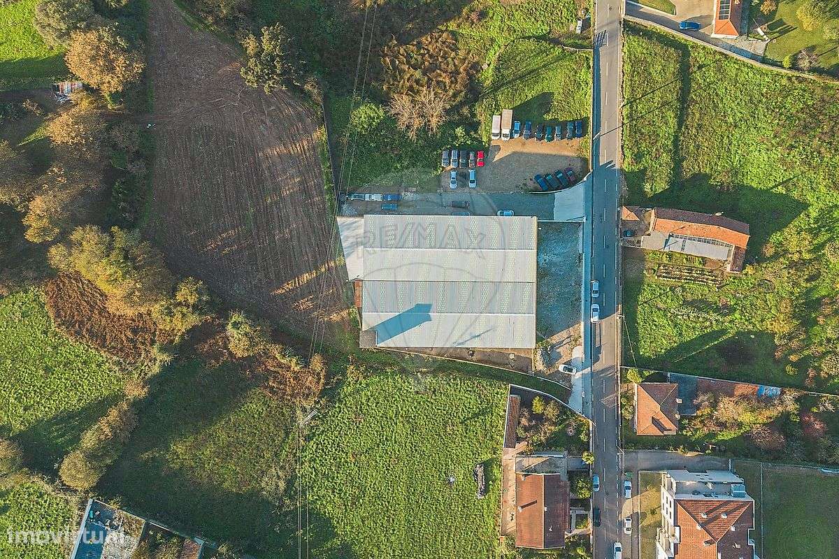 Armazém  para arrendamento - Grande imagem: 5/31