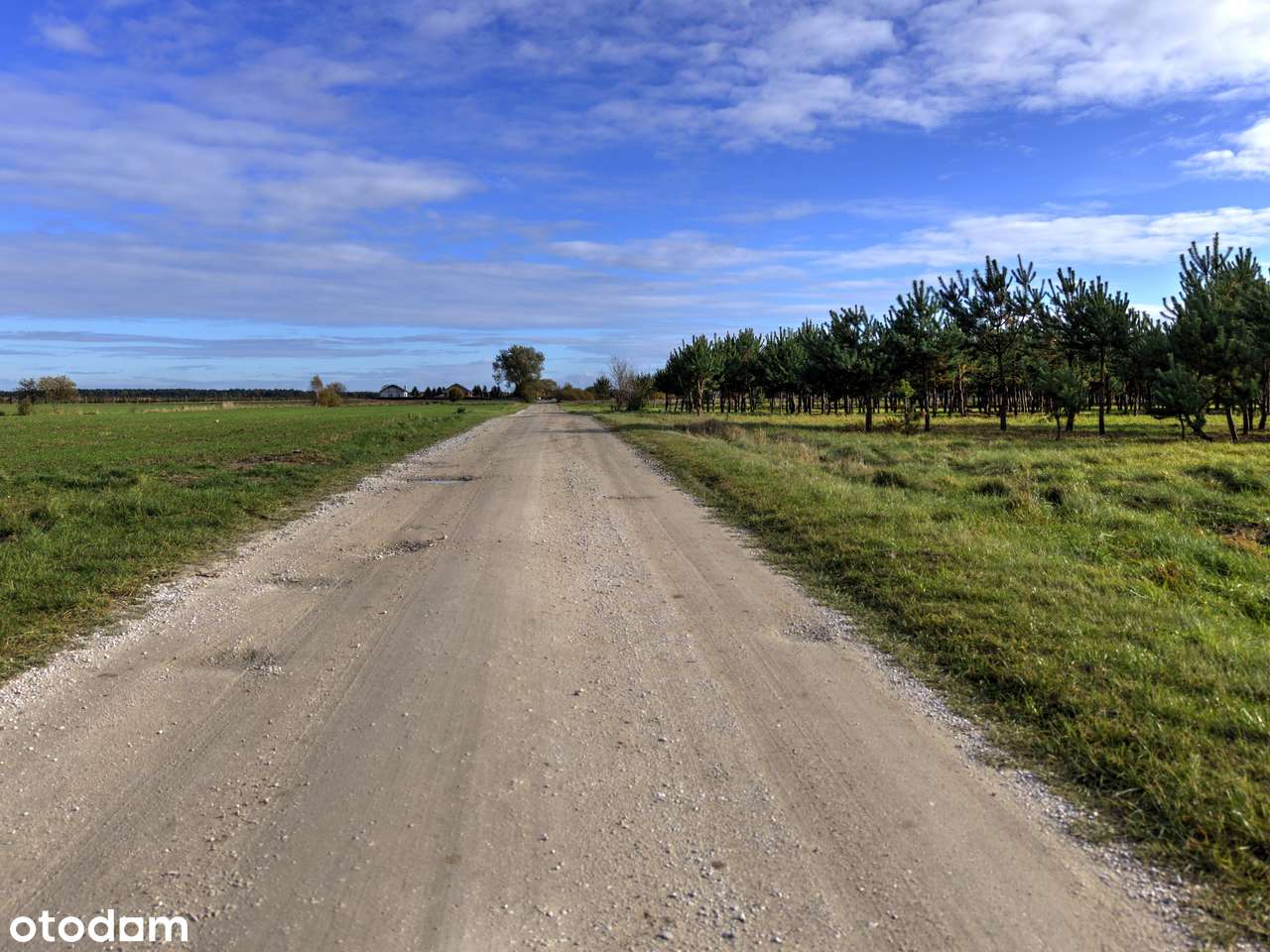 Atrakcyjna działka pod dom - Grzybowo-5