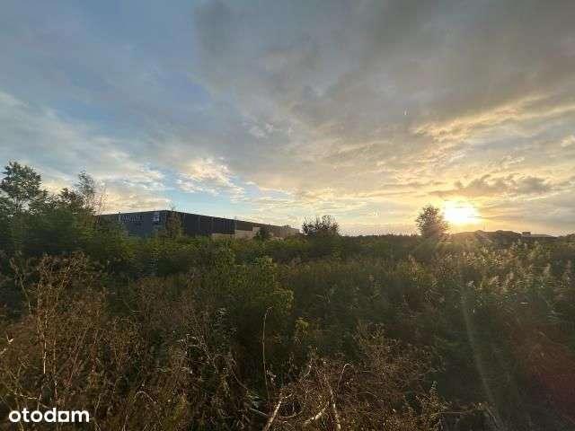 Teren inwestycyjny o szerokim przeznaczeniu-3