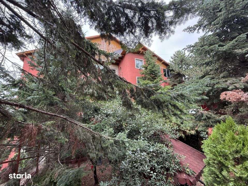 Cladire 30 camere Hotel Clinica Spital Azil Plumbuita Colentina-1