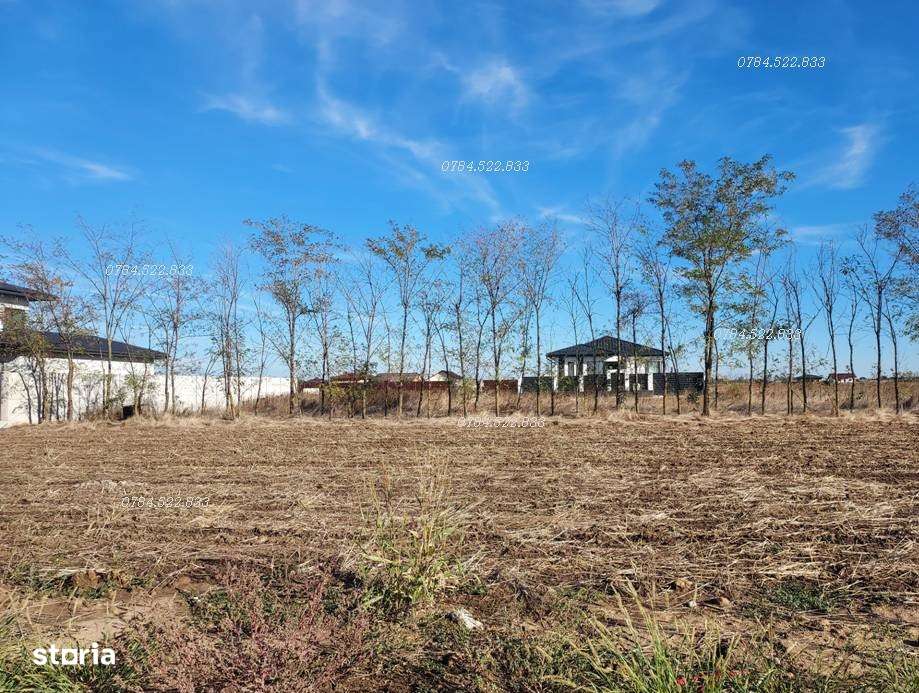 Teren intravilan 442 m² –  utilități incluse, Berceni IF-6