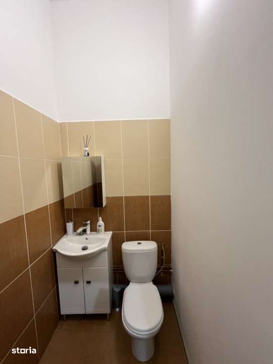 Spatiu comercial , 181 mp utili, zona Big - Imagine principală: 5/5