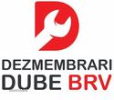 Dezmembrari Dube - 4