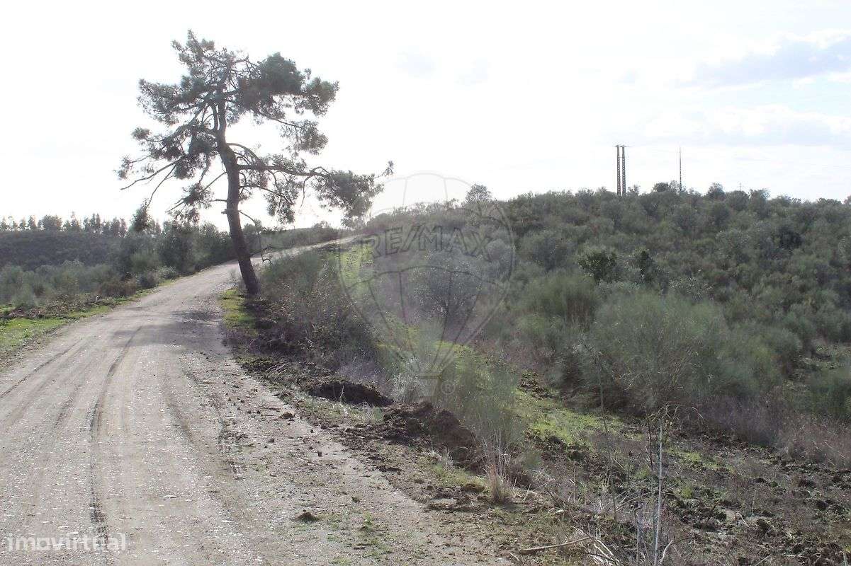 Terreno  para venda-8