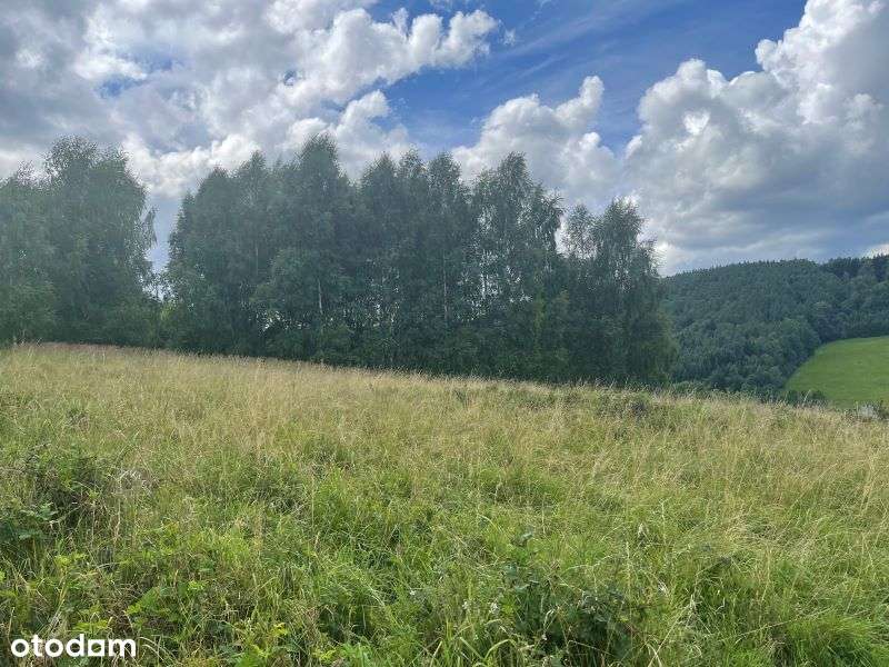 Widokowa działka w górach - Pełny obrazek: 4/8