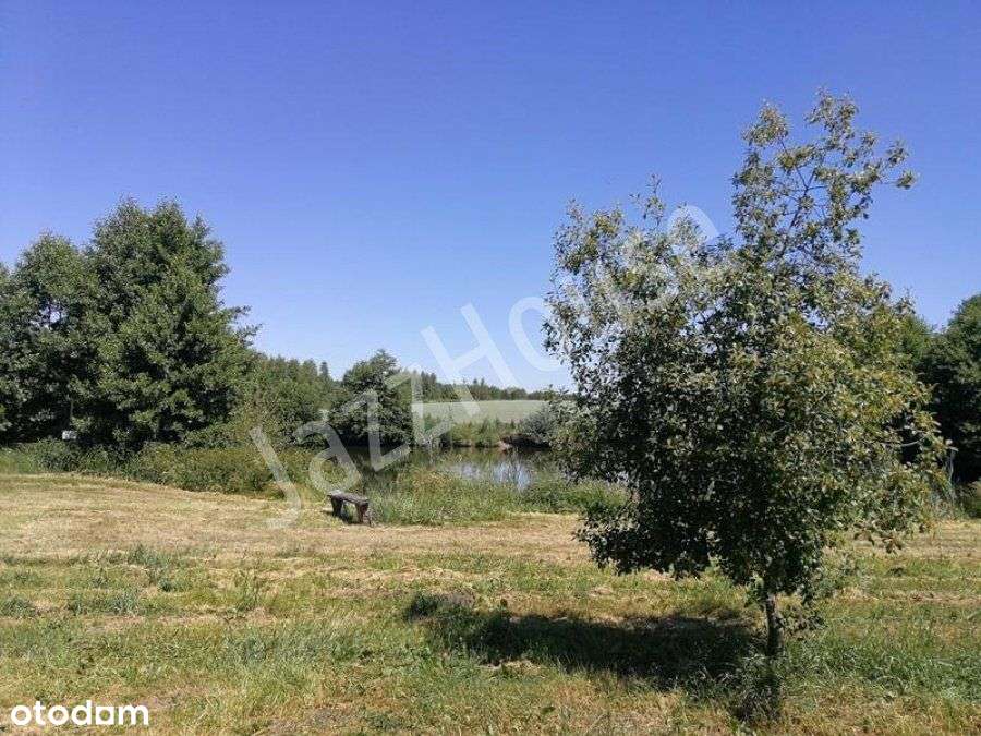 Gospodarstwo - działka inwestycyjna z domem i zabu - Pełny obrazek: 5/20