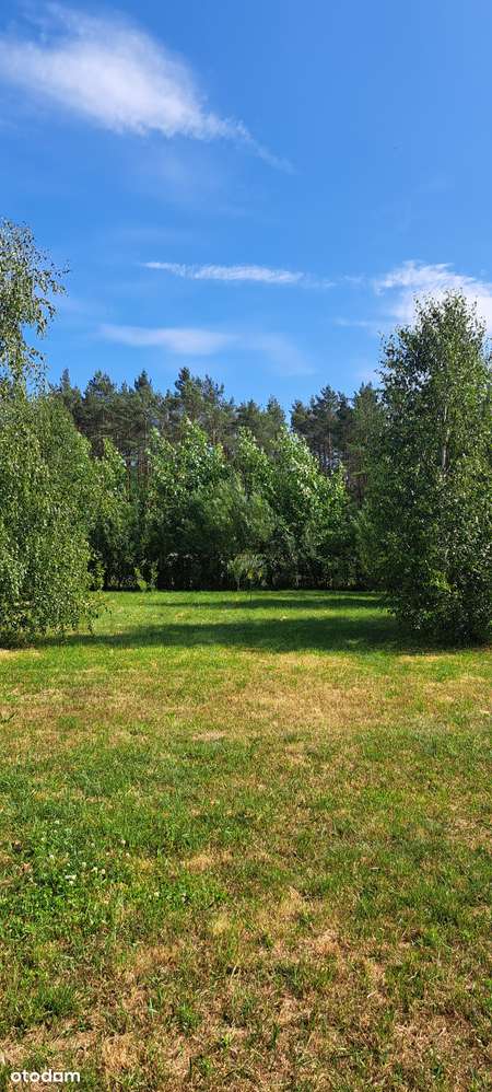 Dom całoroczny - Pełny obrazek: 4/19