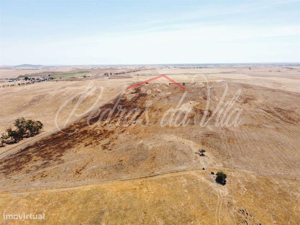 Propriédade de 119ha com varias ruinas - Castro Verde-38