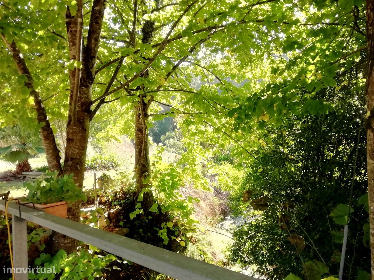 Herdade de 15 ha - Figueira da Foz! - Grande imagem: 2/60