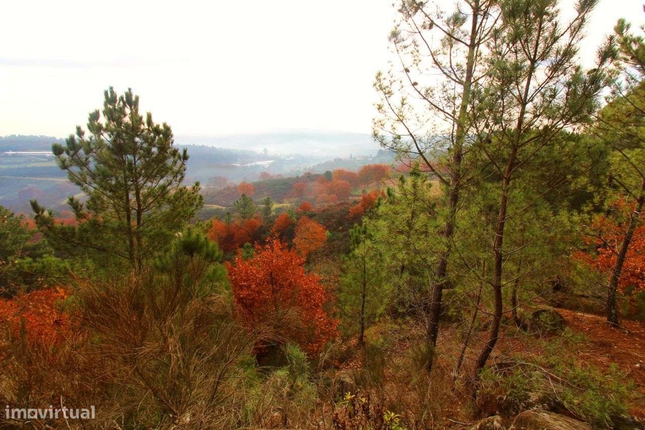 Excelente Propriedade com 5,18 Hectares - Grande imagem: 2/20