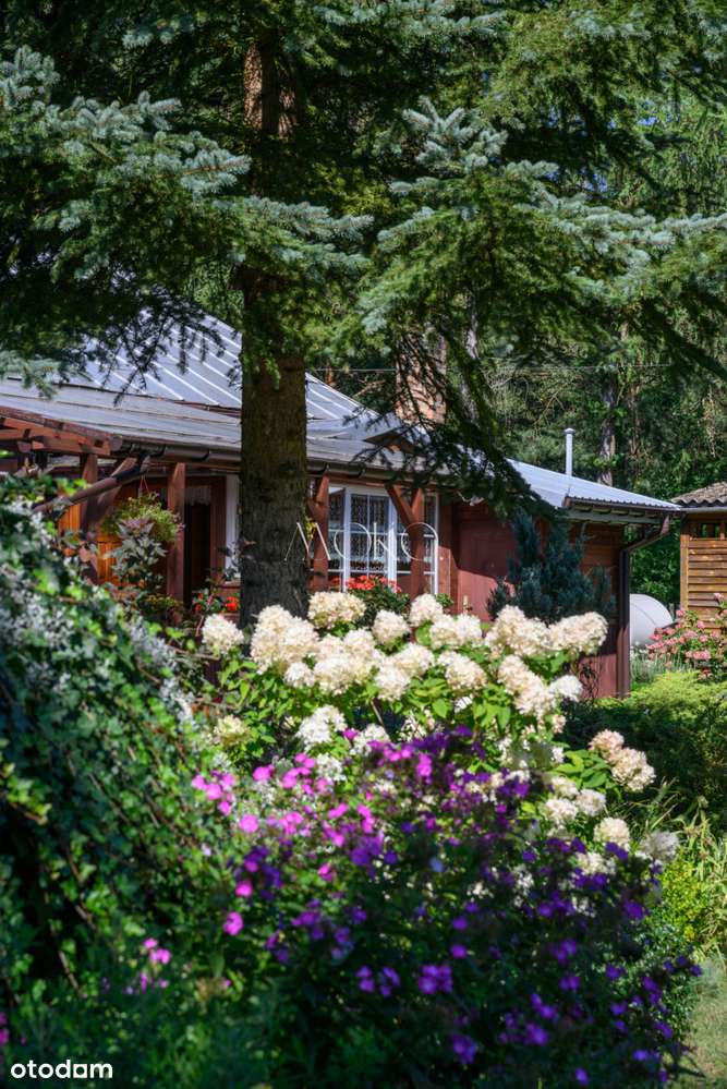 Wyjątkowa nieruchomość siedliskowa z zabudową.-0