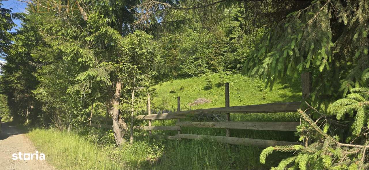 Teren intravilan de vanzare in Colibita - Imagine principală: 3/6