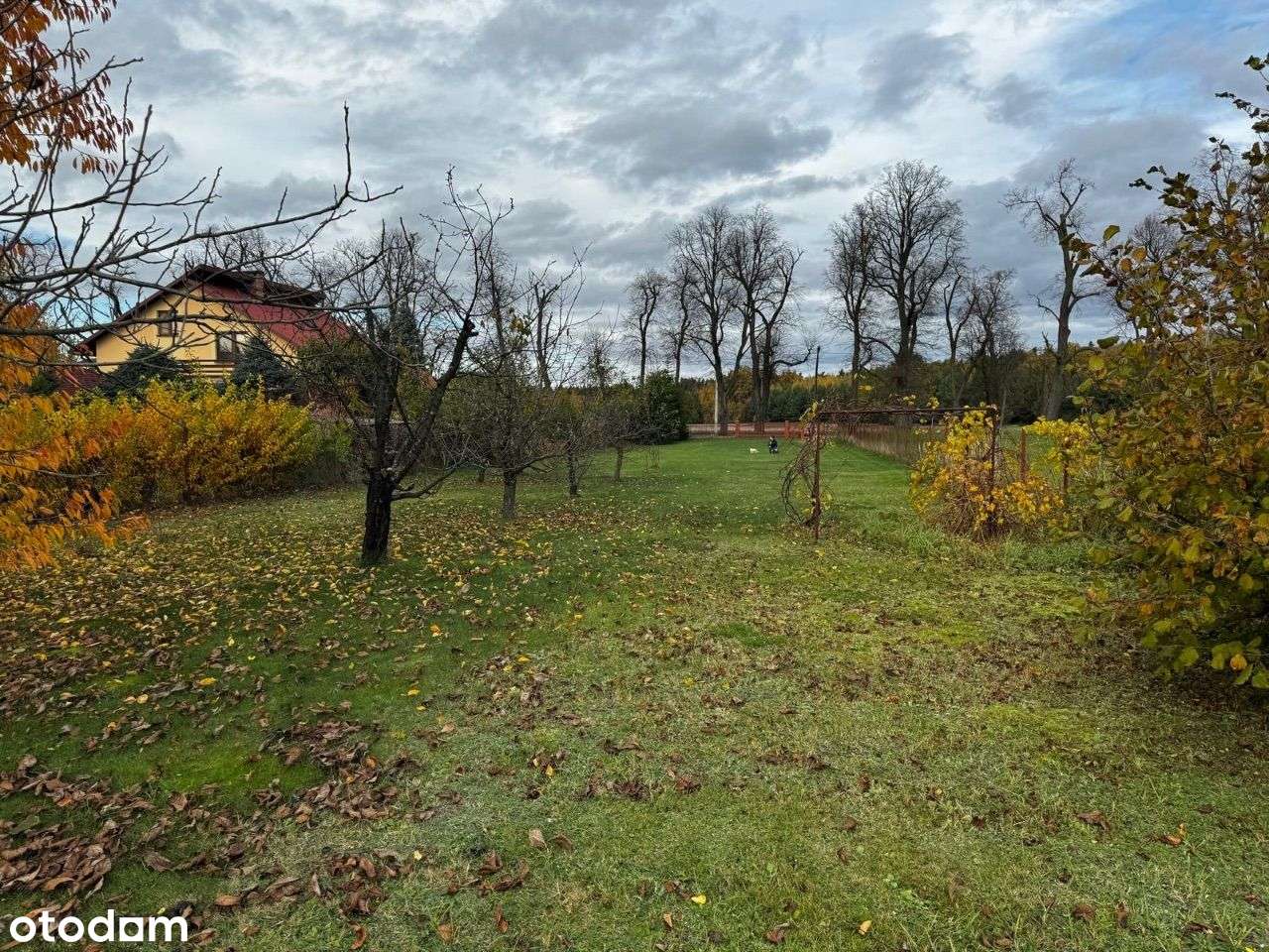 Sprzedaż działki! Brzóza, ul. Lipowa - Pełny obrazek: 3/6