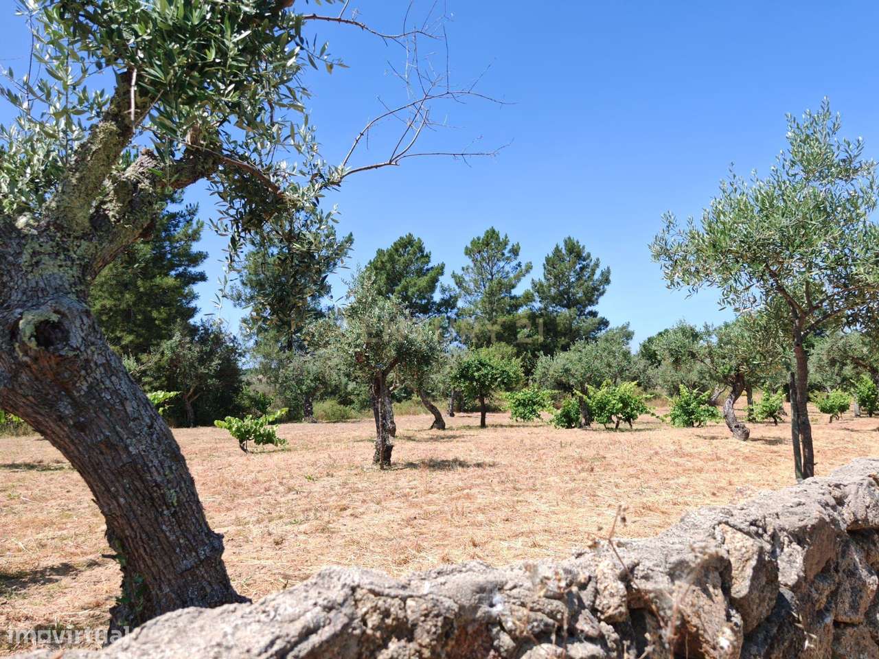 Quintinha na Lousa, Castelo Branco - Grande imagem: 5/19