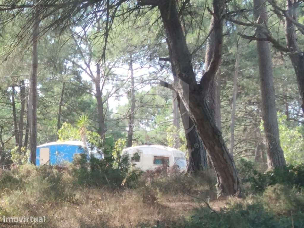 Propriedade rústica em Carvalhais, Fornos, Sesimbra - Grande imagem: 5/17