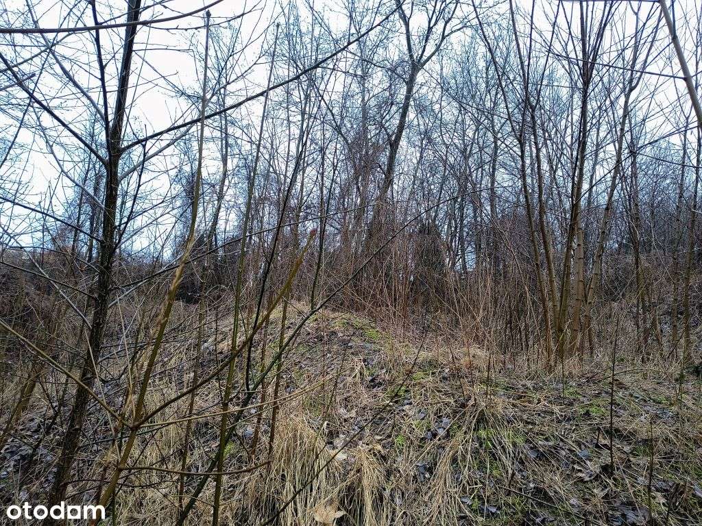Sprzedam nieruchomość gruntową Kcynia - Pełny obrazek: 3/6