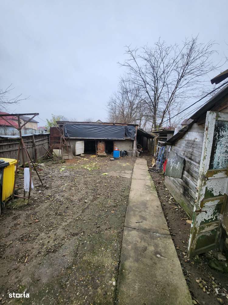 Casa cu 3 camere  in Serbanesti-14