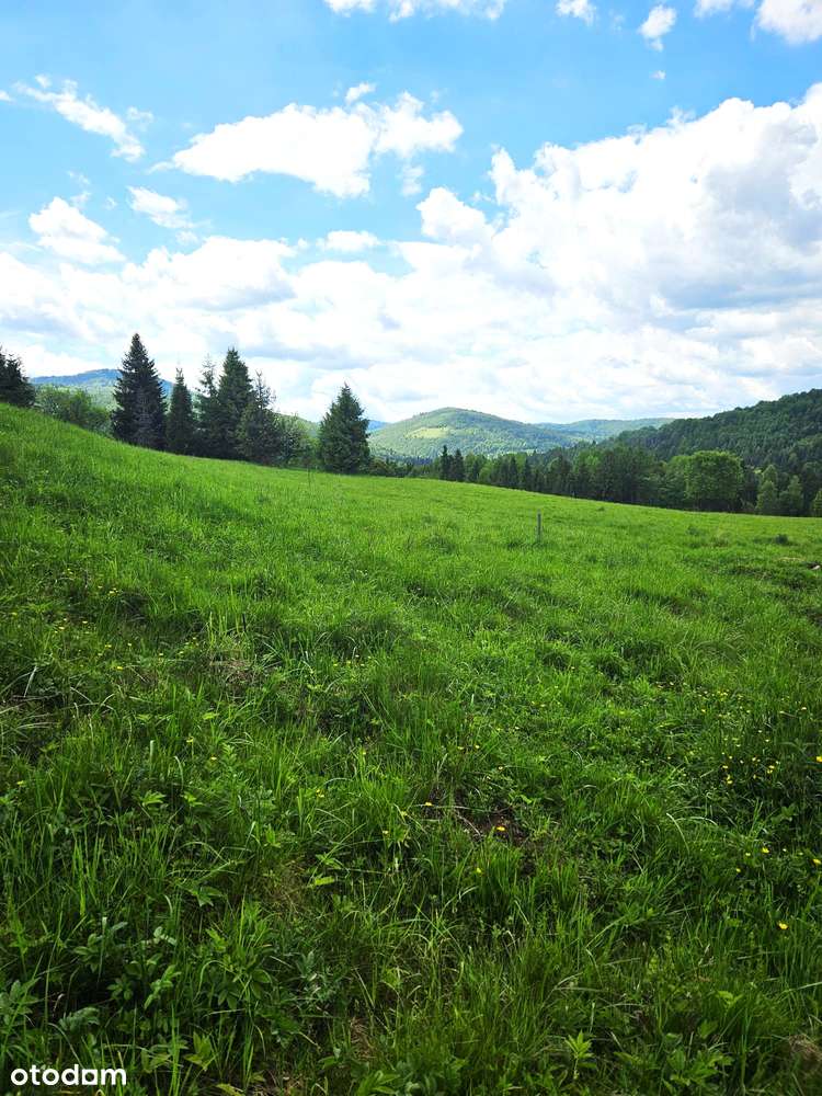 Działka budowlano- leśna z widokiem na góry| Ujsoły / Złatna | media - Pełny obrazek: 4/8