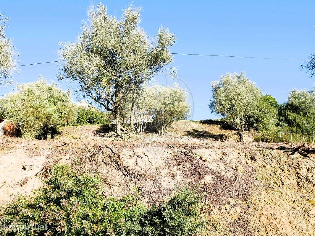 Terreno  para venda - Grande imagem: 3/14